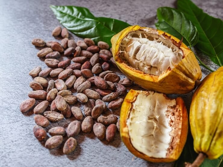 Benefici fave di cacao