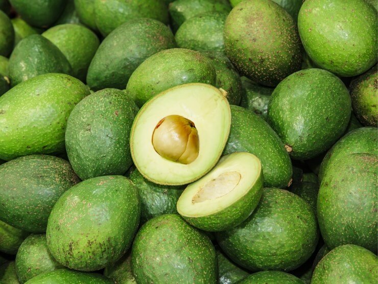 Frutto avocado