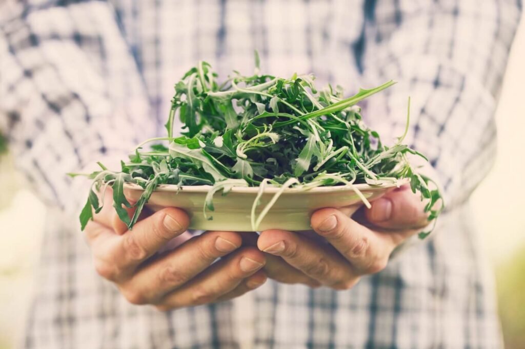 Rucola proprietá benefiche