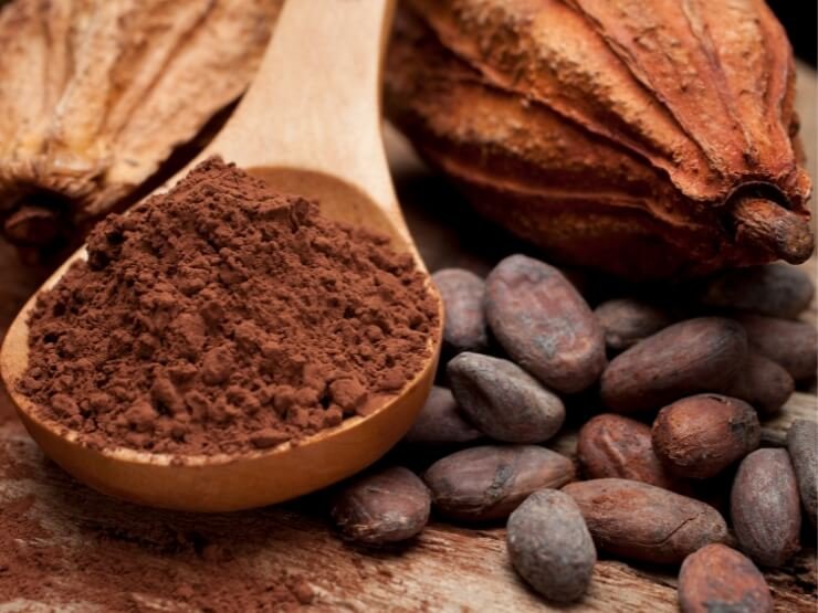 il cacao